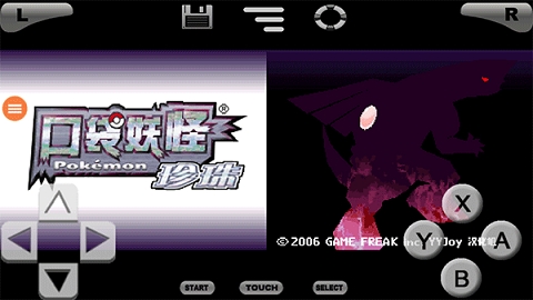 口袋妖怪珍珠钻石.jpg