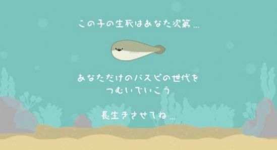 萨卡班甲鱼无广告