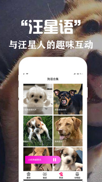 狗语交流器免费版.jpg