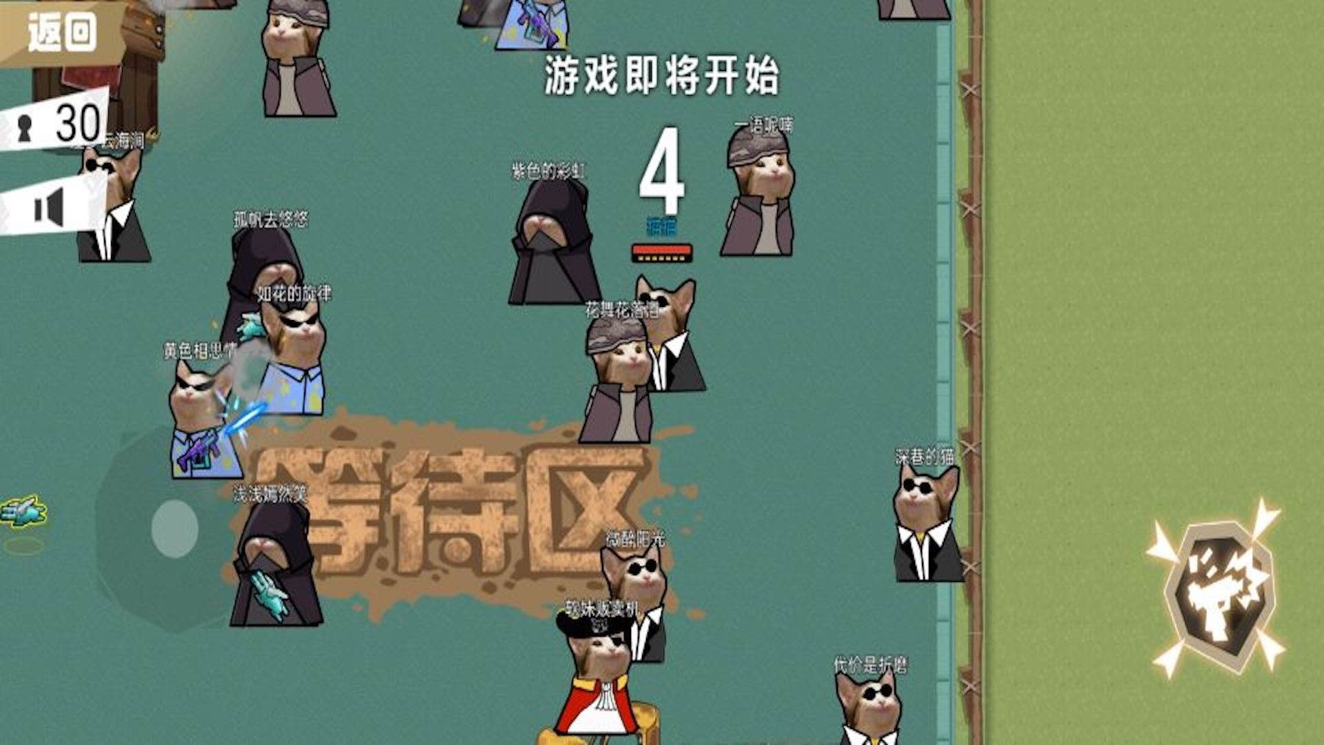 进击的小动物.jpg