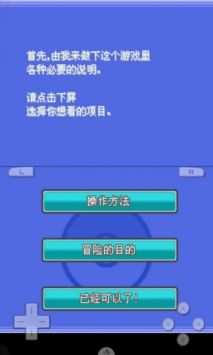 口袋妖怪魂银金手指