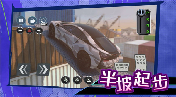 科目二停车大师.jpg