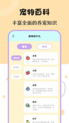 喵喵动物翻译器.jpg