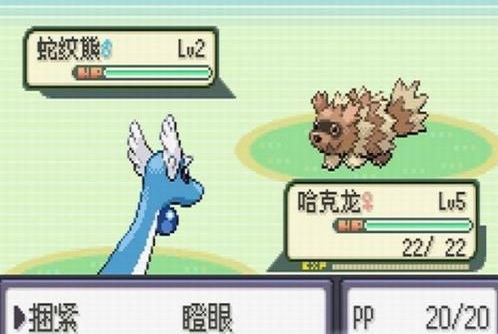 口袋妖怪荒芜世界最终作重制版.jpg