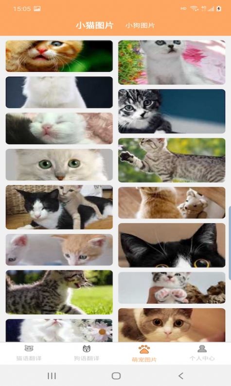 爱猫狗翻译.jpg