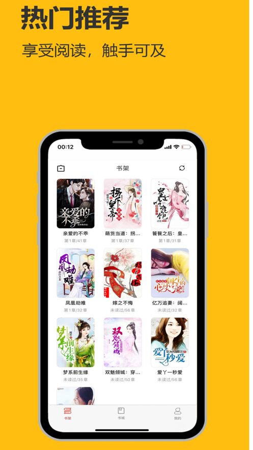 飞雨小说极速版.png