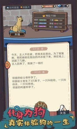 你好狗啊.jpg