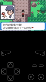 口袋妖怪决心内置作弊菜单