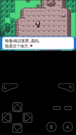 口袋妖怪决心内置作弊菜单.jpg