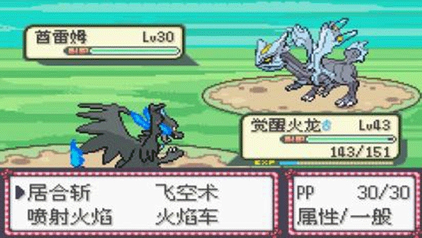 口袋妖怪漆黑来临金手指.jpg