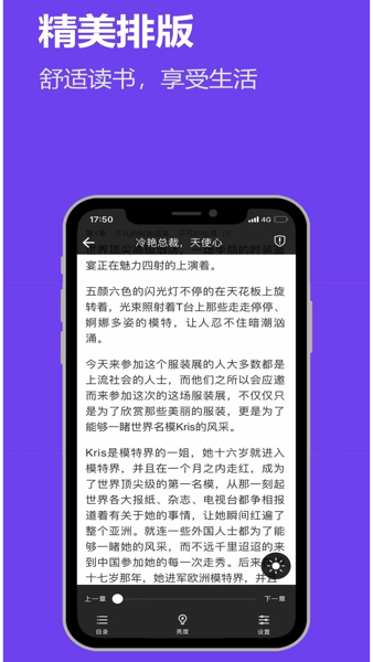 飞雨小说旧版.png