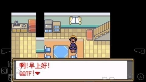 口袋妖怪水银作弊版