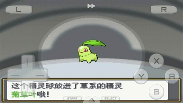 口袋妖怪金银中文版.jpg
