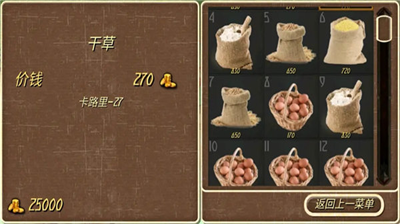 钢铁之躯无敌版