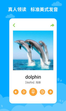 宝宝学英语早教.jpg