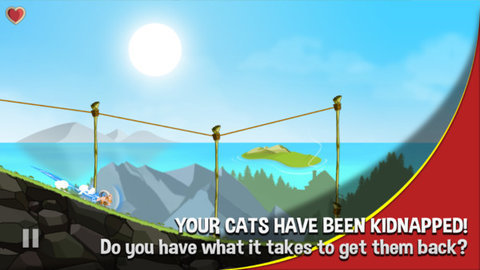 啊我的猫.jpg