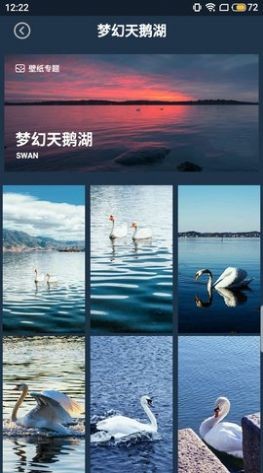 壁纸图片大师.jpg