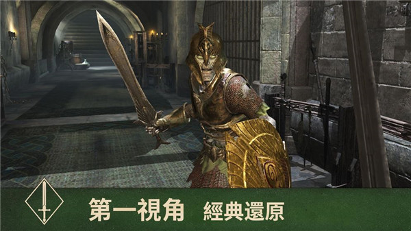 上古卷轴刀锋国际服