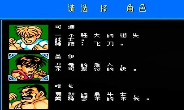 快打旋风无双版