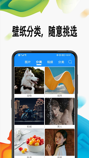 绵越壁纸.png