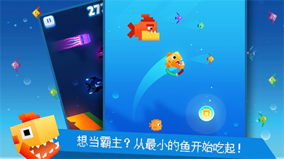 像素鱼2进化内置修改器