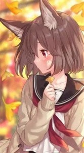 严选漫画纯净版.jpg