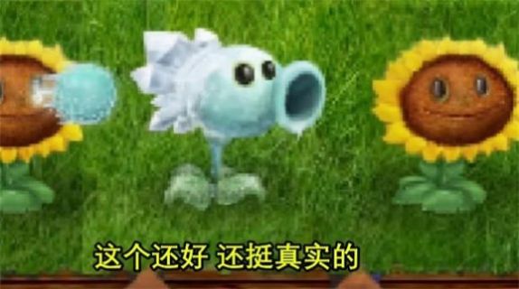 植物大战僵尸现实版内置菜单.jpg