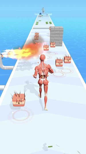 世界造物主.jpg