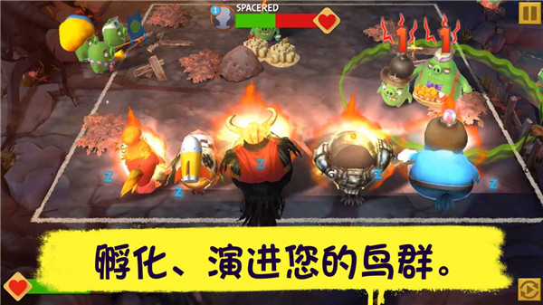 愤怒的小鸟进化无限钻石金币