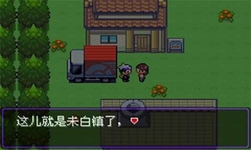 口袋妖怪漆黑的魅影金手指
