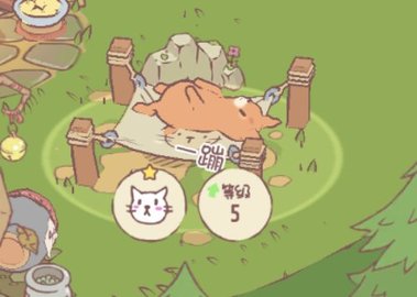 猫咪和汤.jpg