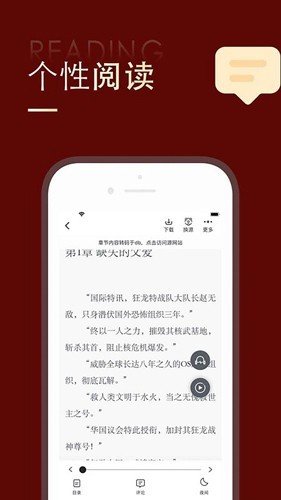 金鸿追书大师旧版.jpg