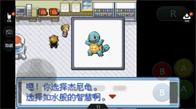 口袋妖怪永恒之焱内置作弊码