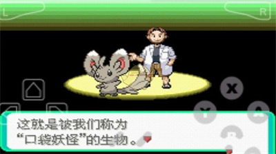 口袋妖怪新世代内购版