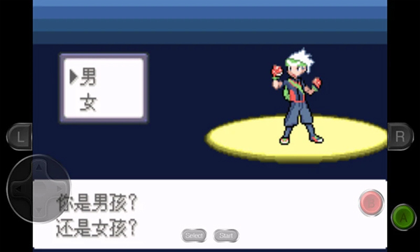 口袋妖怪永恒之沫.jpg