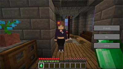 我的世界珍妮模组完整版.png