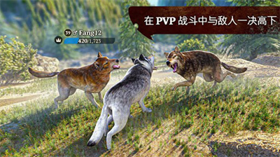 狼族无限金币