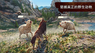 狼族无限金币.png