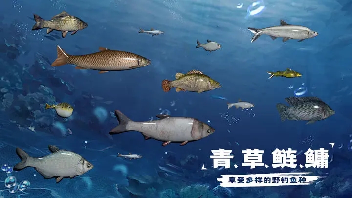 天天钓鱼内购版