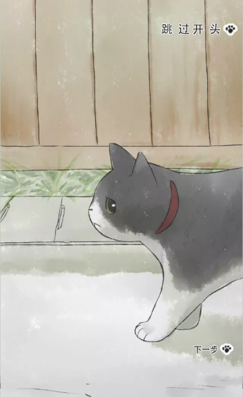 迷途猫.png