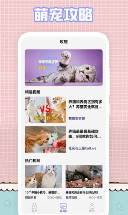 我的猫咪壁纸.jpg