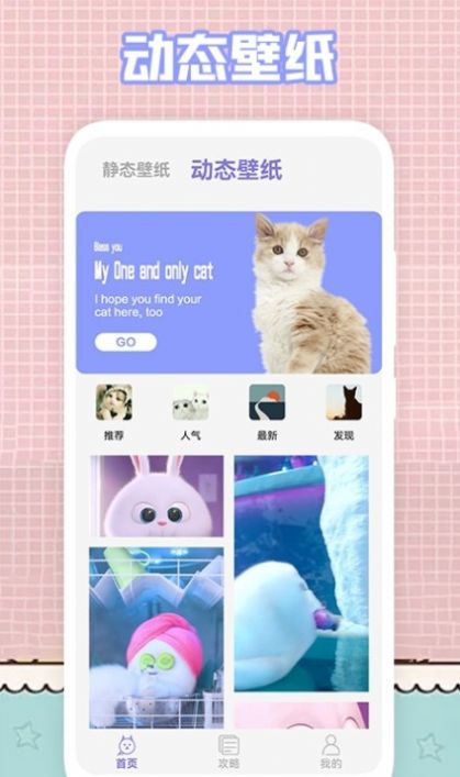我的猫咪壁纸.jpg