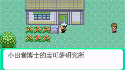 口袋妖怪传说绿宝石金手指.png