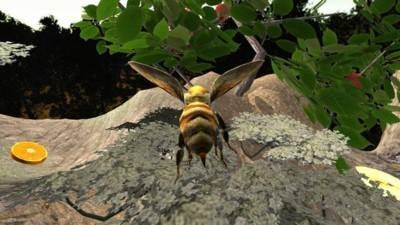 蜂巢模拟器3d中文版