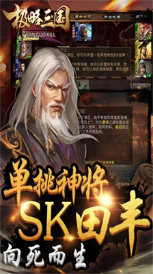 极略三国内购版