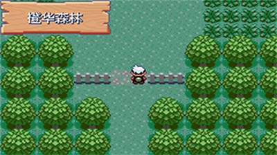 精灵宝可梦究极绿宝石4小智版