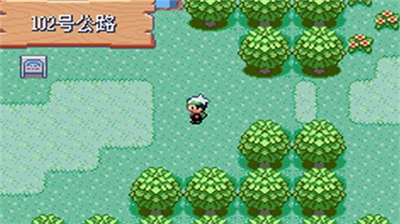 精灵宝可梦究极绿宝石4小智版.png