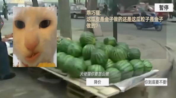 猫猫惊魂夜恐怖版.jpg