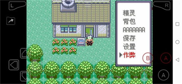 口袋妖怪绿宝石5.5内置作弊版.jpg