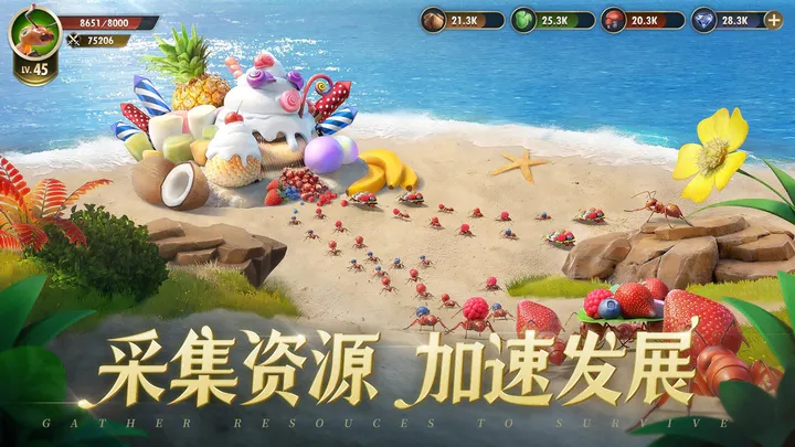 小小蚁国37官网版